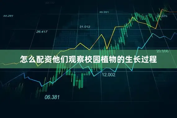 怎么配资他们观察校园植物的生长过程
