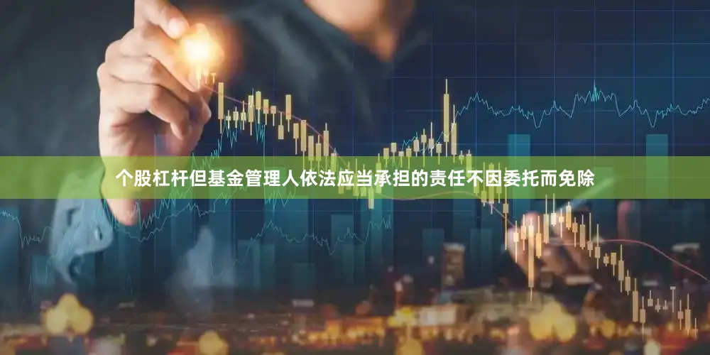 个股杠杆但基金管理人依法应当承担的责任不因委托而免除