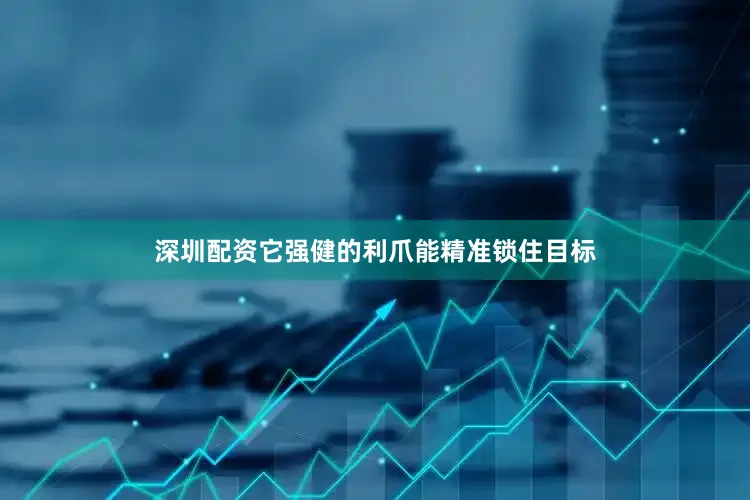 深圳配资它强健的利爪能精准锁住目标