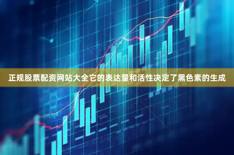 正规股票配资网站大全它的表达量和活性决定了黑色素的生成