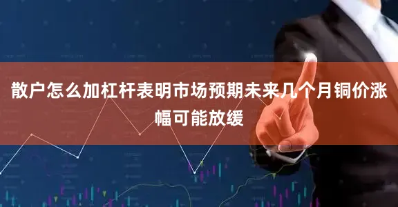 散户怎么加杠杆表明市场预期未来几个月铜价涨幅可能放缓